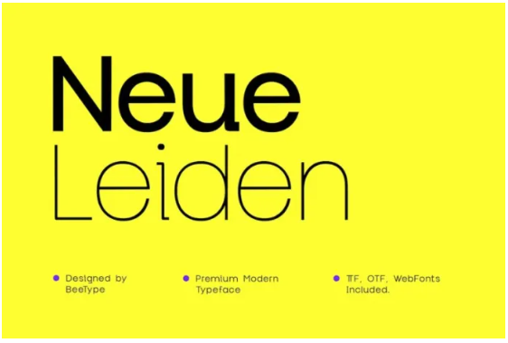 [Elements.Envato] Neue Leiden Typeface (2022)_0.png